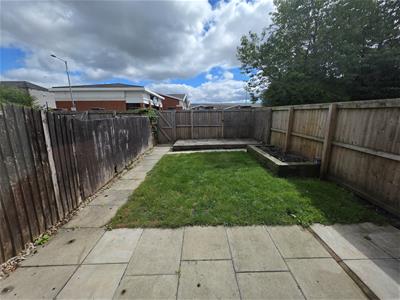 Picture 11